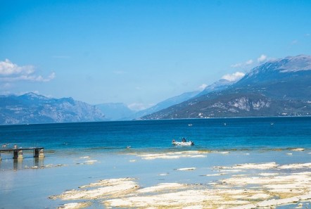 Lago di Garda: divieto di pesca alborella